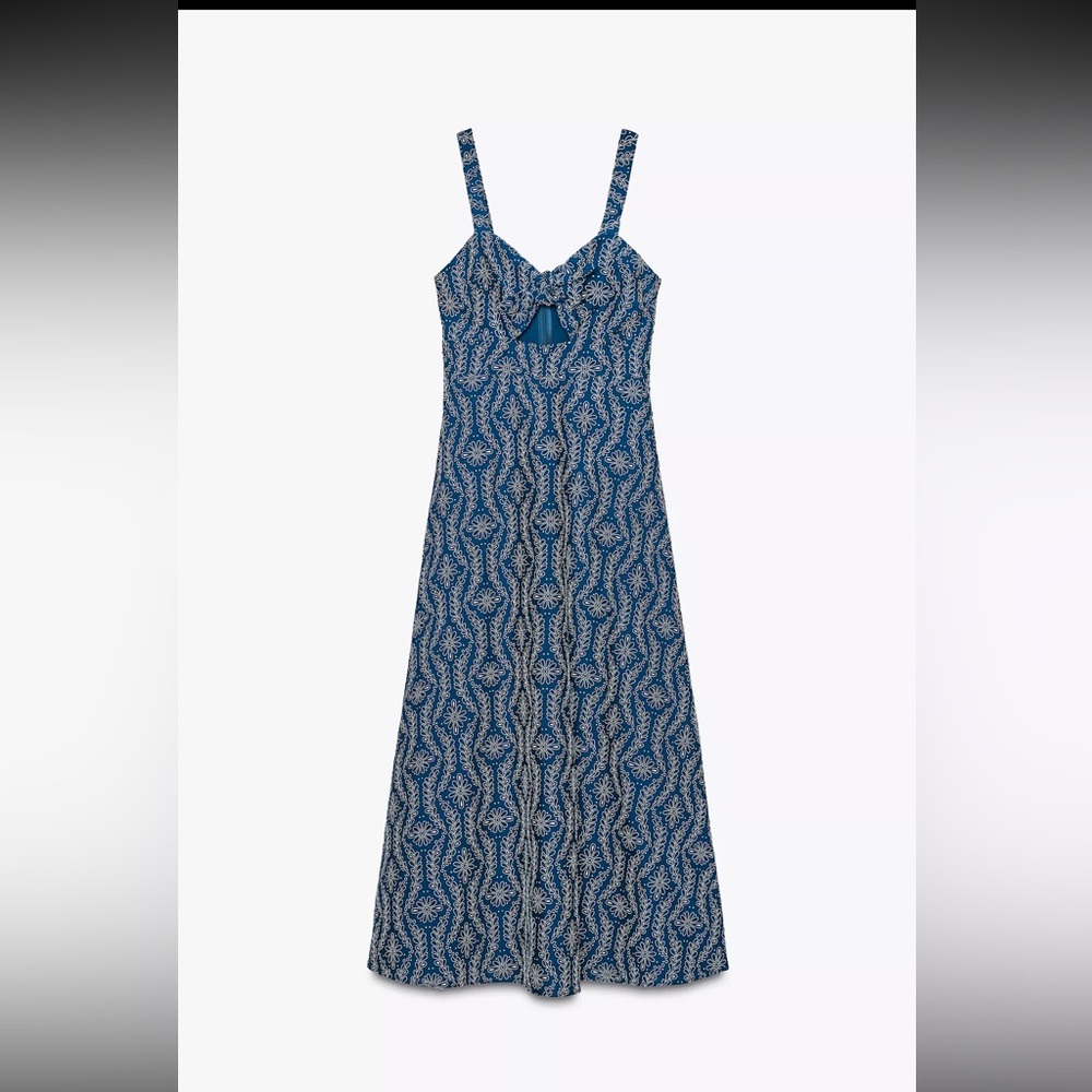 Zara Blue and White Maxi Dress